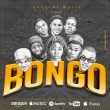 Bongo Artwork