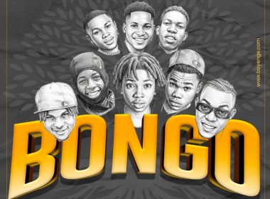 Bongo Artwork